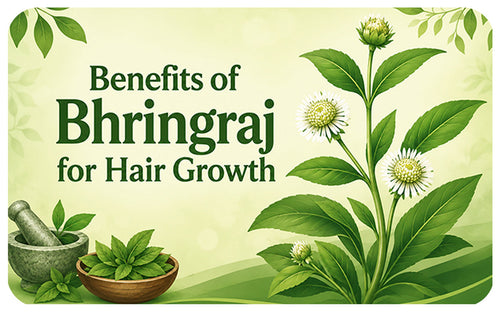 What is Bhringraj? Benefits, Uses & How It Helps Hair Growth
