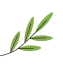 Decorative leaf